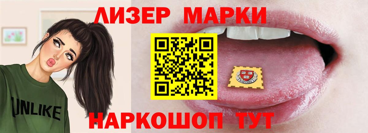 A PVP Протвино