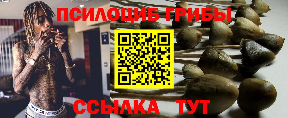 Галлюциногенные грибы мицелий Протвино