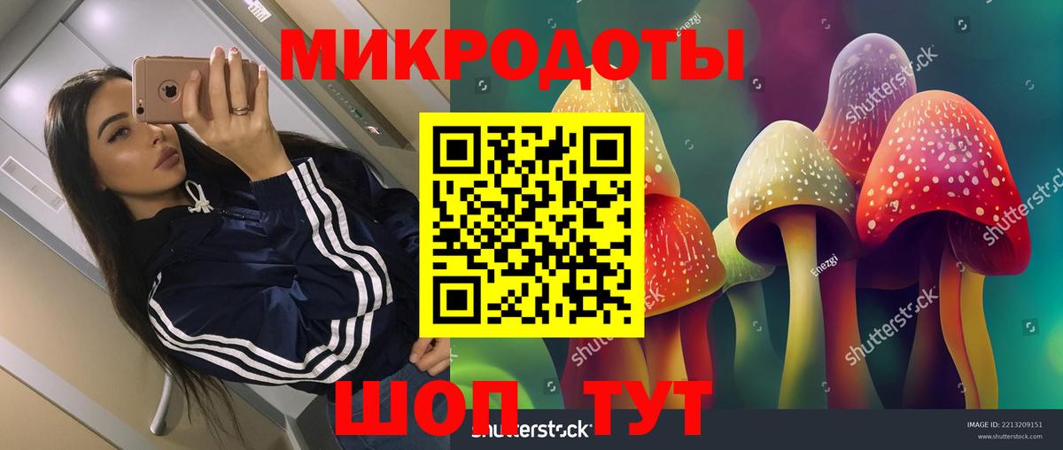 Псилоцибиновые грибы прущие грибы  Вход с VPN  Протвино 